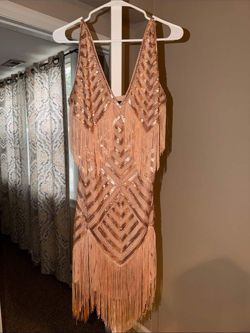 Blush Sequin Fringe V-Neck Dress